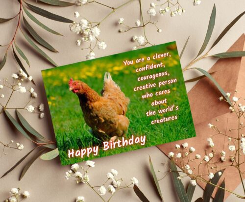 Chicken Birthday Card - Image 5