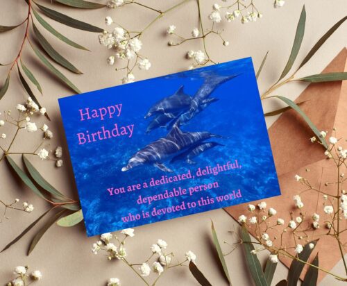 Dolphin Birthday Card - Image 4