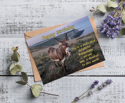 Donkey Birthday Card - Image 5