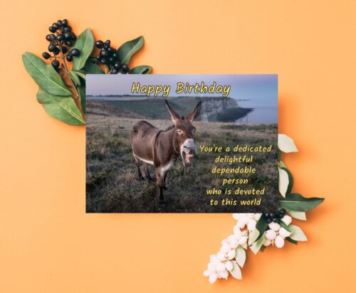 Donkey Birthday Card - Image 7