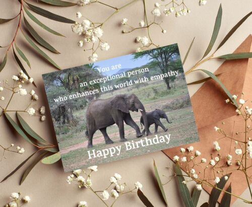 Elephant Birthday Card - Image 4