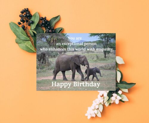Elephant Birthday Card - Image 6