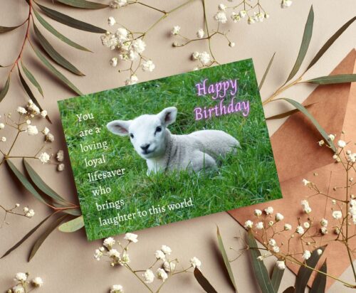 Lamb Birthday Card - Image 6