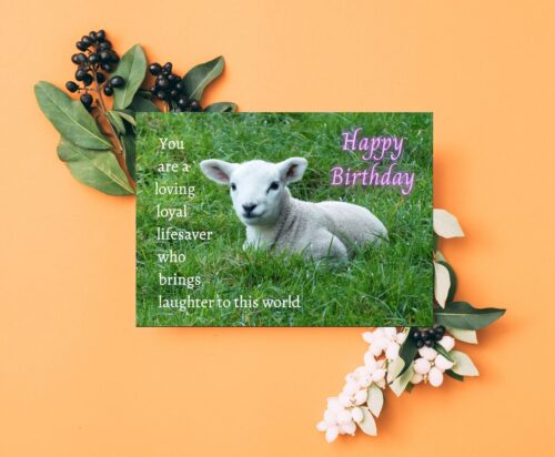 Lamb Birthday Card - Image 4