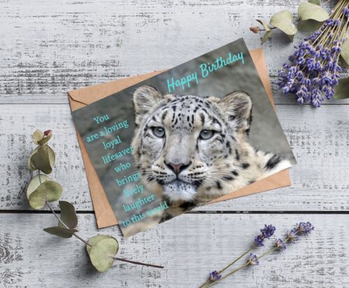 Leopard Birthday Card - Image 4