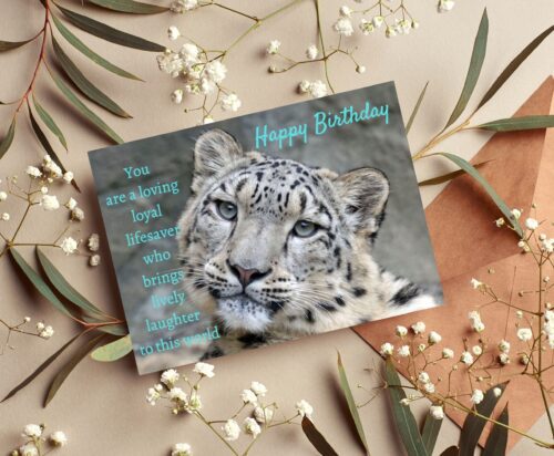 Leopard Birthday Card - Image 6