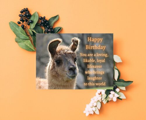 Llama Birthday Card - Image 6