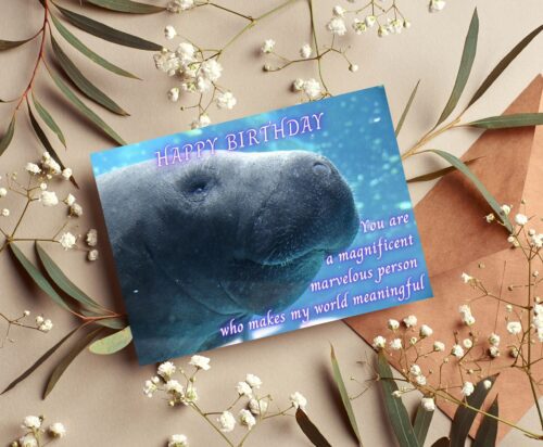 Manatee Birthday Card - Image 5