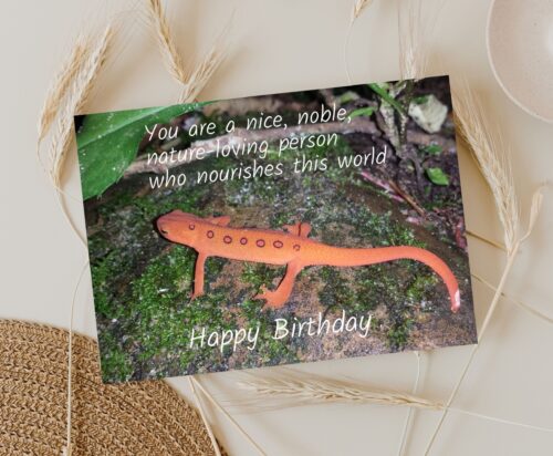 Newt Birthday Card - Image 4
