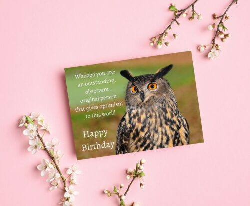 Owl Birthday Card - Image 6