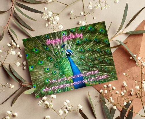 Peacock Birthday Card - Image 5