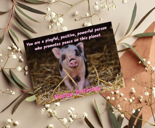 Pig Birthday Card - Image 4