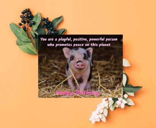 Pig Birthday Card - Image 6