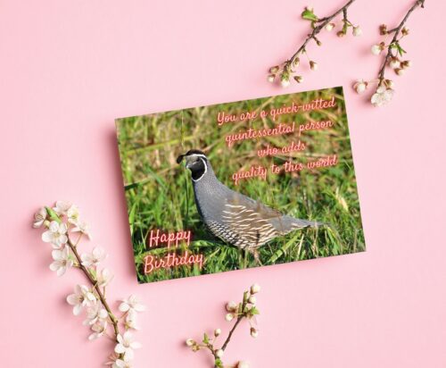 Quail Birthday Card - Image 7