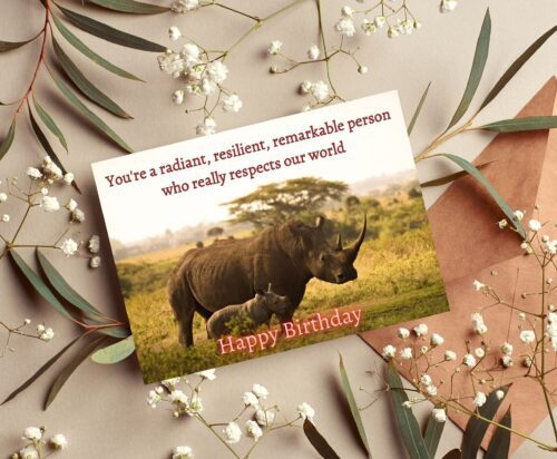 Rhino Birthday Card - Image 6