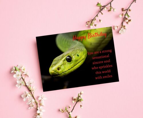 Snake Birthday Card - Image 7