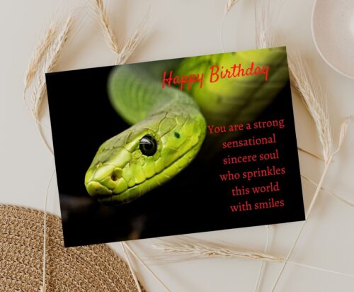 Snake Birthday Card - Image 6