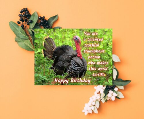 Turkey Birthday Card - Image 7