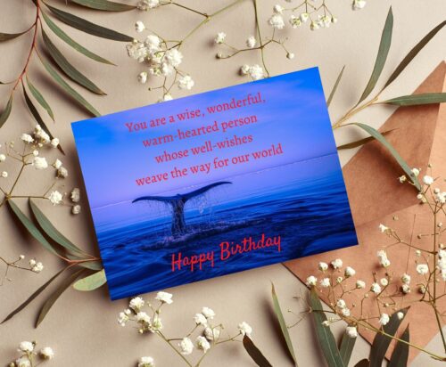 Whale Birthday Card - Image 7
