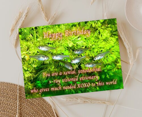 X-ray Tetra Birthday Card - Image 6