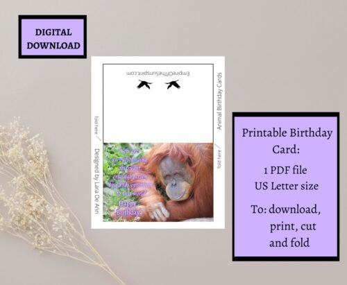 Orangutan Birthday Card - Image 2