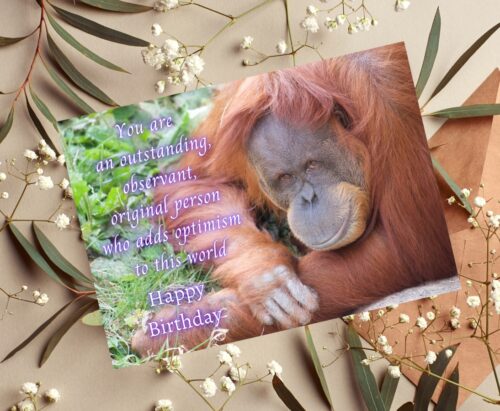 Orangutan Birthday Card - Image 6
