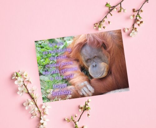 Orangutan Birthday Card - Image 5
