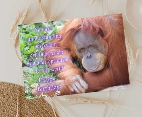 Orangutan Birthday Card - Image 3