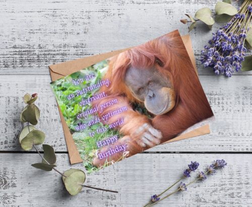 Orangutan Birthday Card - Image 4