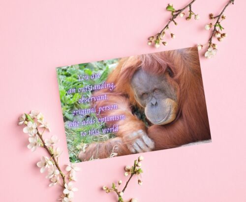 Orangutan Celebrating You Card - Image 7