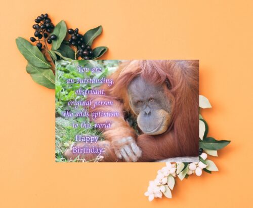 Orangutan Birthday Card - Image 7