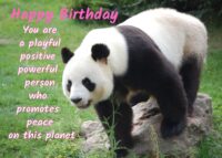 Panda Birthday Card