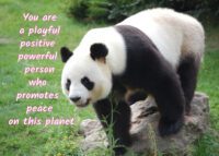 Panda Celebrating You Card