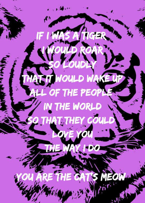 Cat's Meow