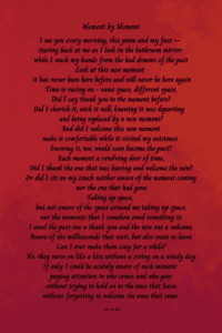 Moment by Moment - black on red