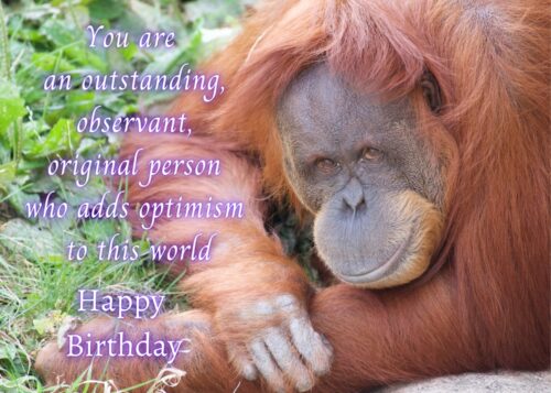 Orangutan Birthday Card