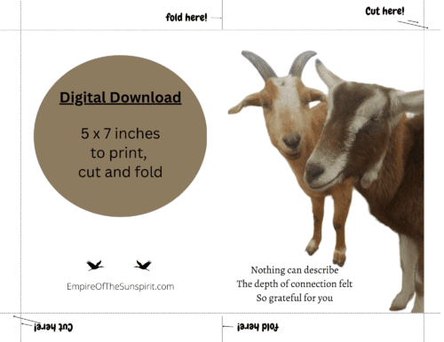 Goat Haiku - Connected - Image 2