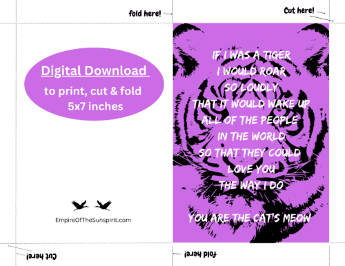 Cat's Meow - Image 2