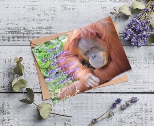 Orangutan Celebrating You Card - Image 6