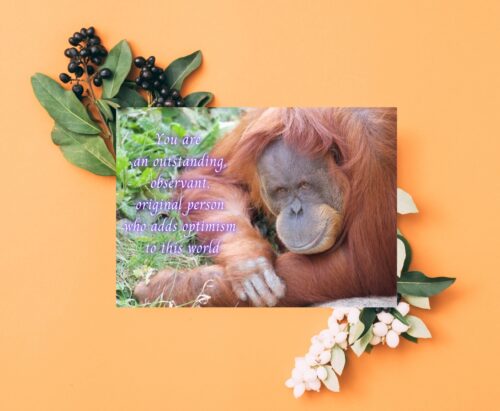 Orangutan Celebrating You Card - Image 4