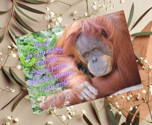 Orangutan Celebrating You Card - Image 5
