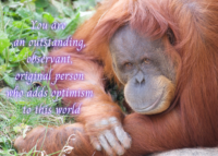 Orangutan Celebrating You Card