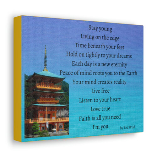 Live Free - pagoda - canvas - textured blue - Image 7