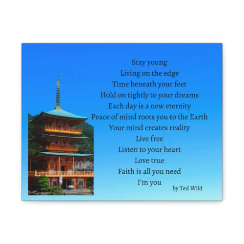 Live Free - pagoda - canvas - gradient blue - Image 5