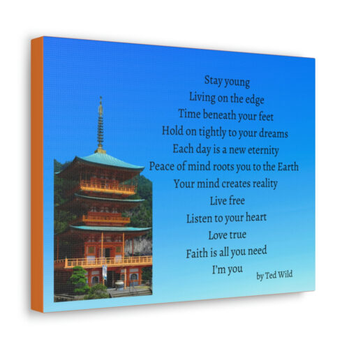 Live Free - pagoda - canvas - gradient blue - Image 6