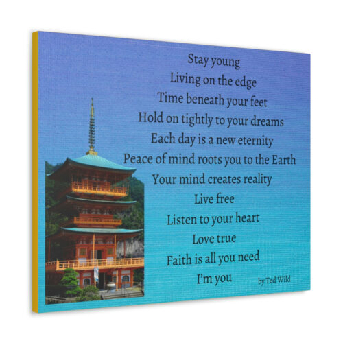 Live Free - pagoda - canvas - textured blue - Image 11