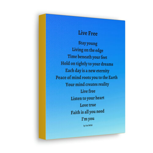 Live Free - canvas - blue gradient - Image 21