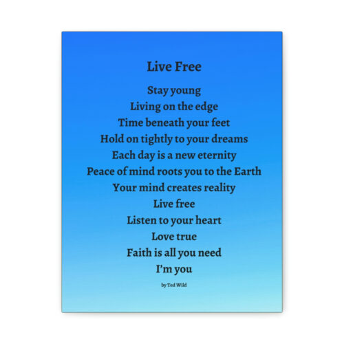Live Free - canvas - blue gradient - Image 22