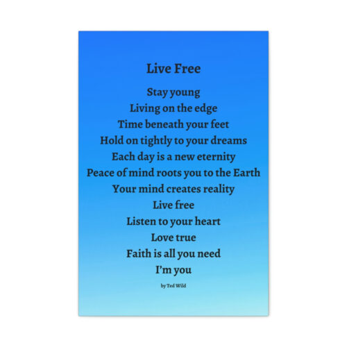 Live Free - canvas - blue gradient - Image 9