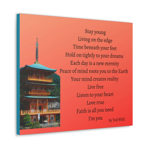Live Free - pagoda - canvas - orange - Image 16